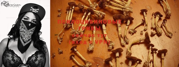 герыч Алексин